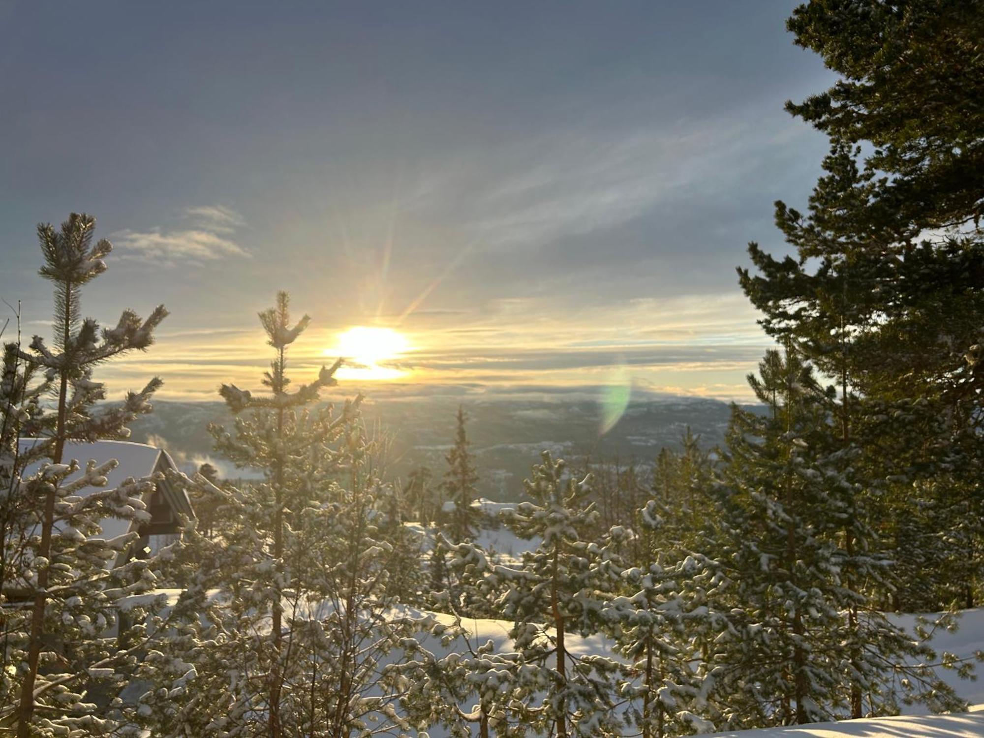 Eventyrtunet In Idyllic Tuddal Holiday home Hjartdal